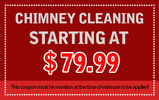 Chimney Cleaning Starting at $29.99